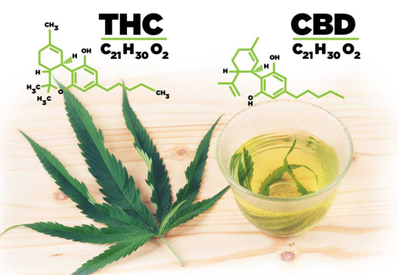 CBD or THC: Lets get to know the difference!!